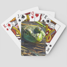 Tjurgroda som leker kort