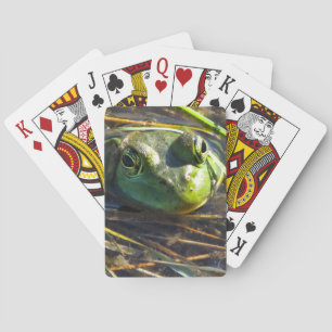 Tjurgroda som leker kort spel kort