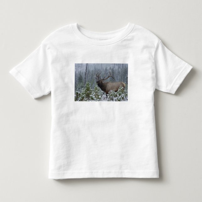 Tjurhjort i snö som ropar, bugar, Yellowstone Tee (Framsida)