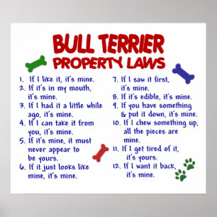 TJURTERRIER PL2 POSTER