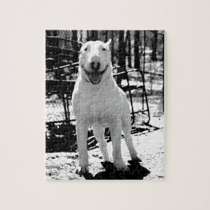 Tjurterrier Pussel