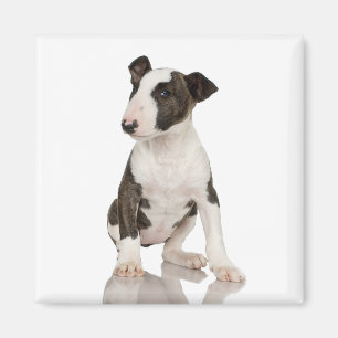 TjurTerriermagnet Magnet