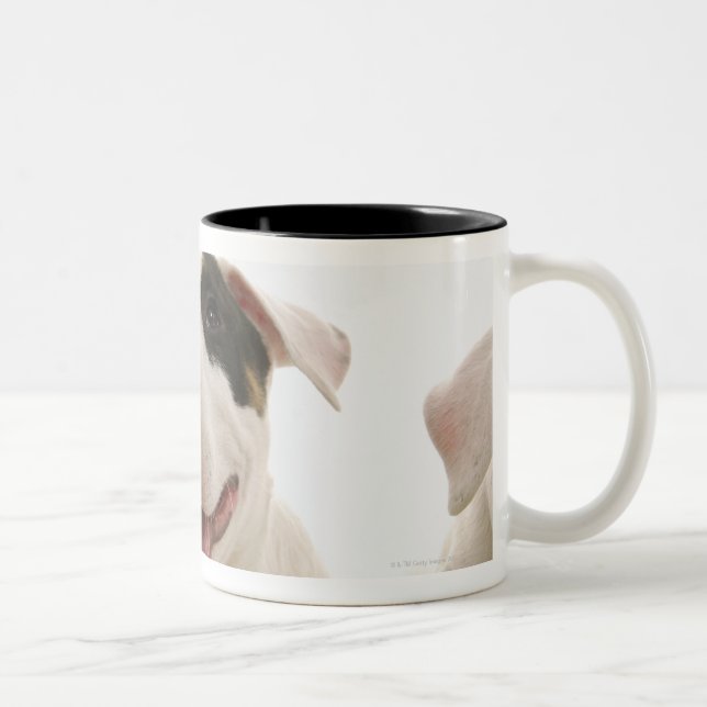 TjurTerriers Två-Tonad Mugg (Höger)