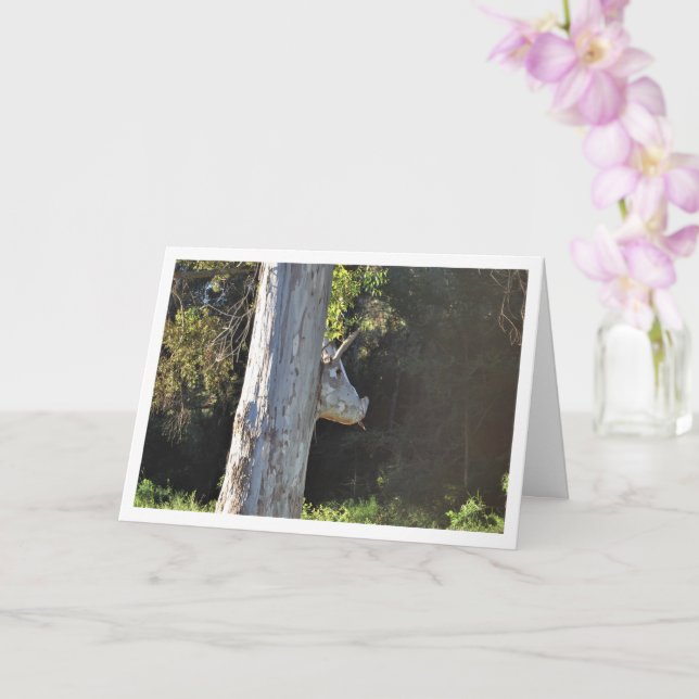 Tjurträdet i Valencia, Spanien, spanska Kort (Orkide)