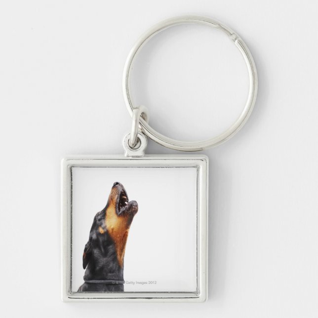 Tjuta för Doberman Fyrkantig Silverfärgad Nyckelring (Framsidan)