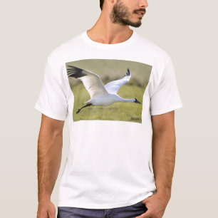 Tjuta kranen (den americana grusen) tee shirt