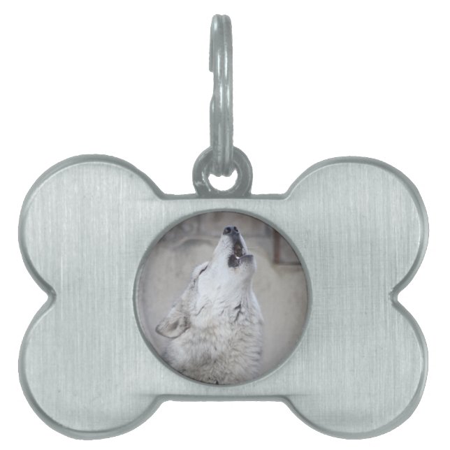 Tjuta vargen namnbricka husdjur (Framsidan)