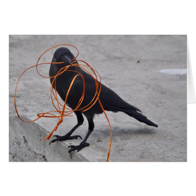 Tjuv i svart hälsningskort (Framsidan Horizontal)