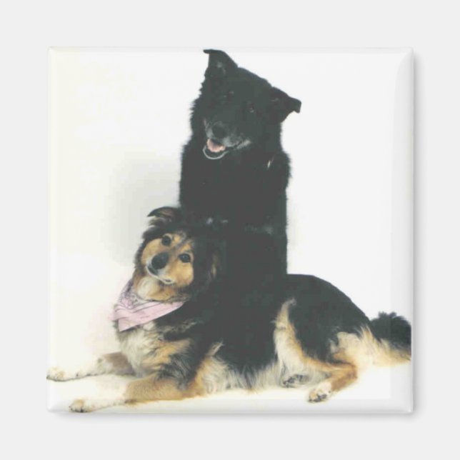 TK och Ka'vik Magnet (Framsidan)