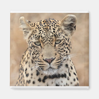 Tlalamaba Princess of Djume women laopard Magnet