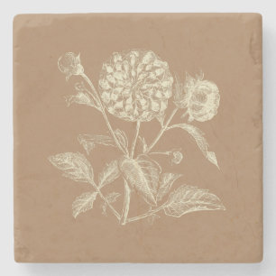 Tmålad Vintage Zinnia Illustration Brown Stenunderlägg