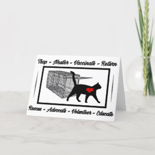 TNR Cat Rädding Trap Neuter Return Adopt Volunteer Tack Kort