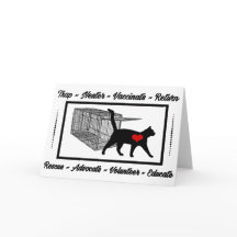 TNR Cat Rädding Trap Neuter Return Adopt Volunteer