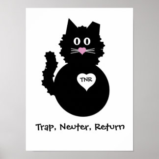 TNR - Fuzzy Kattunge Poster