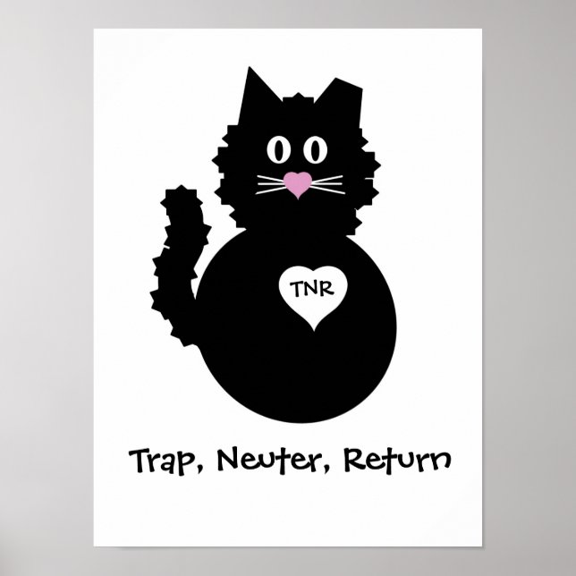 TNR - Fuzzy Kattunge Poster (Framsidan)