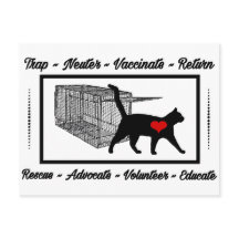 TNR Katträddning Fånga Sterilisera Återplacera Ado