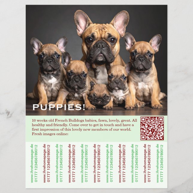 To sell Frenchies Puppy Flyer (Framsidan)