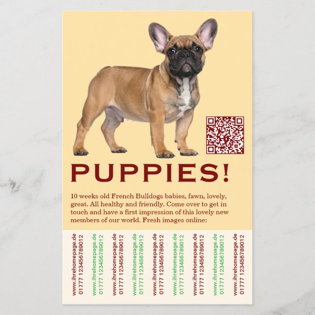 To sell Frenchies Puppy Flyer (Framsidan)