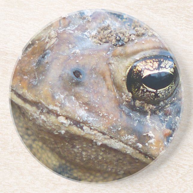 Toad ansikte underlägg (Framsidan)