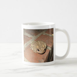 Toad Frog Mugg