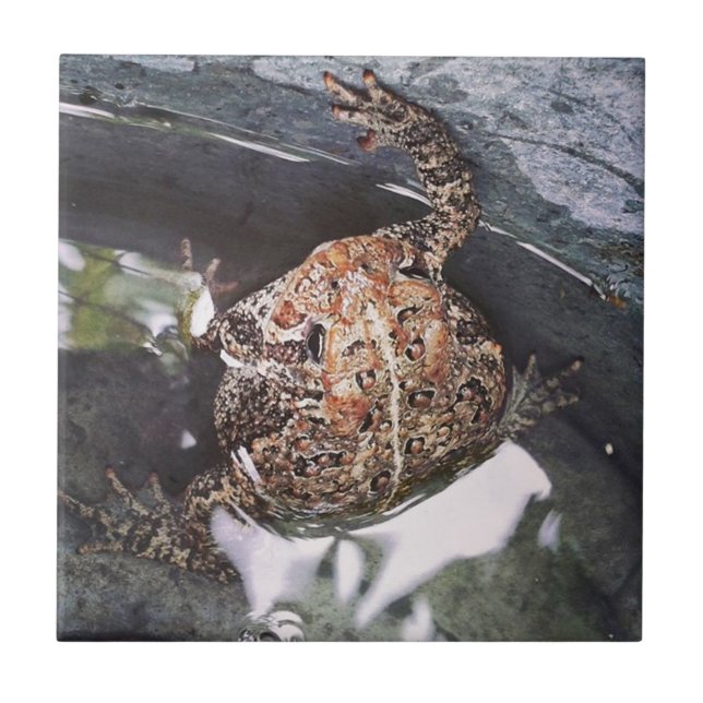 Toad Kakelplatta (Framsidan)