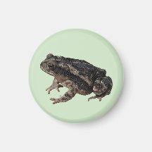 Toad