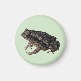 Toad Magnet