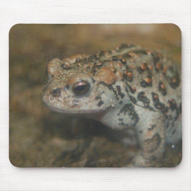 Toad Mousepad Musmatta (Framsidan)