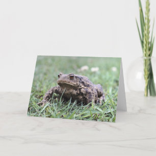 Toad notecard kort