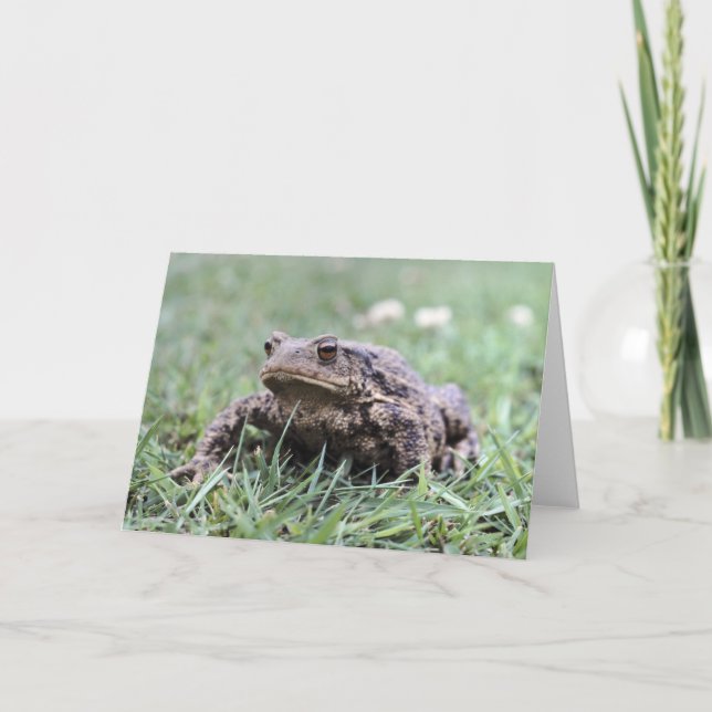 Toad notecard kort (Framsida)