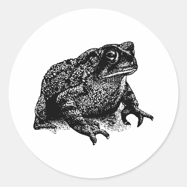 Toad Runt Klistermärke (Framsida)