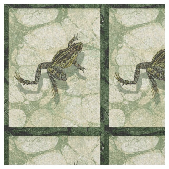 Toad Swon i Vatten Tyg (Närbild)