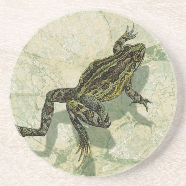 Toad Swon i Vatten Underlägg (Framsidan)