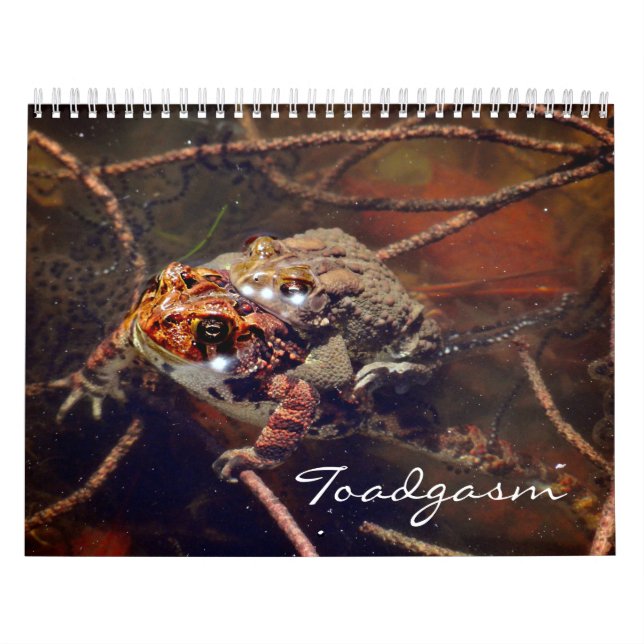 Toadgasm Kalender (Omslag)
