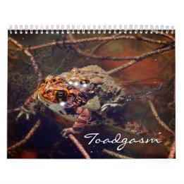 Toadgasm Kalender