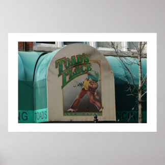 Toads Ställe Poster