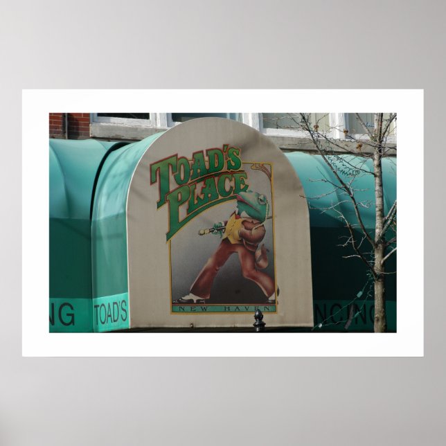 Toads Ställe Poster (Framsidan)