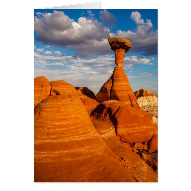 Toadstool Aftermiddag Hälsningskort (Framsidan)