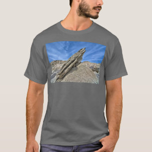 Toadstool Geological Park 1 T Shirt