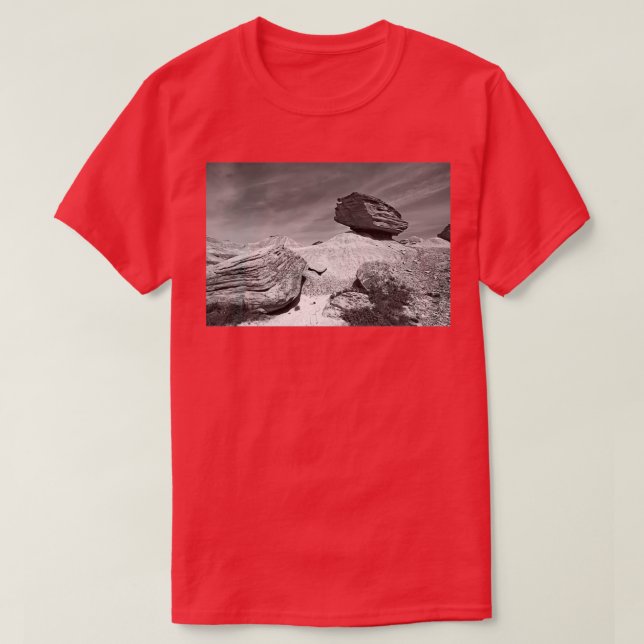 Toadstool Geological Park Monochrome T Shirt (Design framsida)