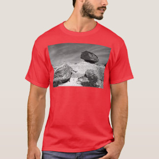 Toadstool Geological Park Monochrome T Shirt