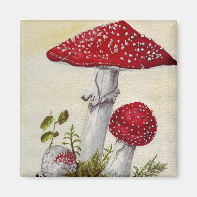 Toadstool Magnet (Framsidan)