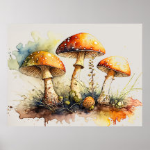 Toadstool Mushroom, Amanita muscaria