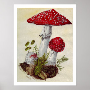Toadstool Poster