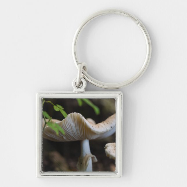 Toadstool Umbrella Fyrkantig Silverfärgad Nyckelring (Framsidan)