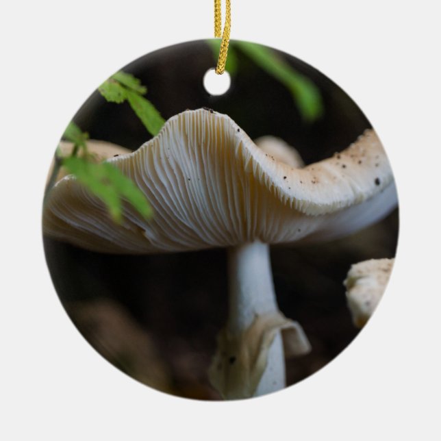 Toadstool Umbrella Julgransprydnad Keramik (Framsidan)
