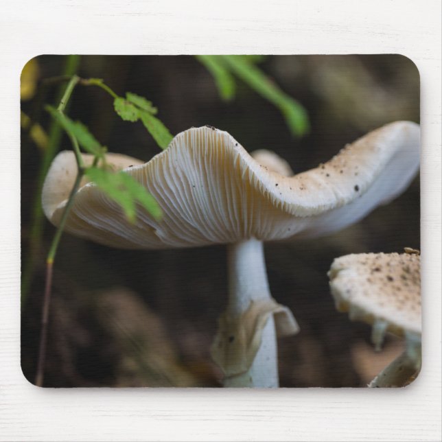 Toadstool Umbrella Musmatta (Framsidan)