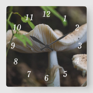 Toadstool Umbrella Wall Clock Fyrkantig Klocka