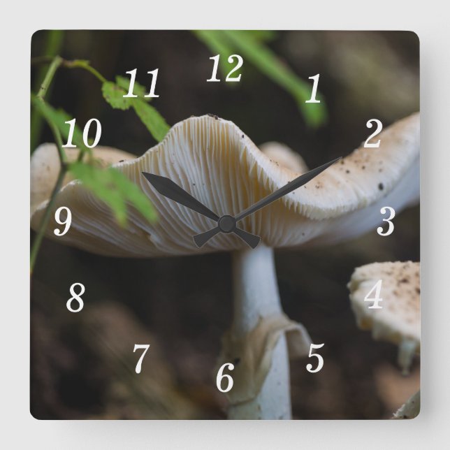 Toadstool Umbrella Wall Clock Fyrkantig Klocka (Framsida)