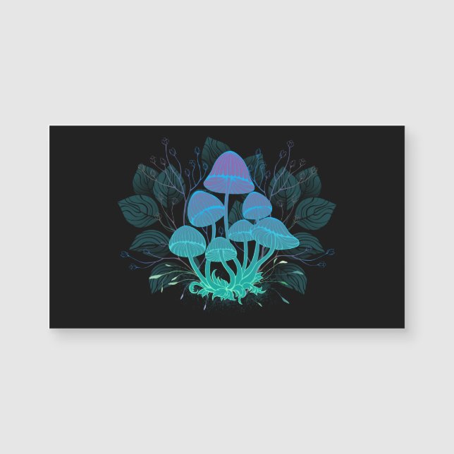 Toadstooler i Bushs (Framsida)